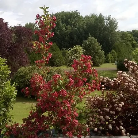 Logis Maison Carree Restaurant O Carre Dart 3* Mereville (Lorraine)