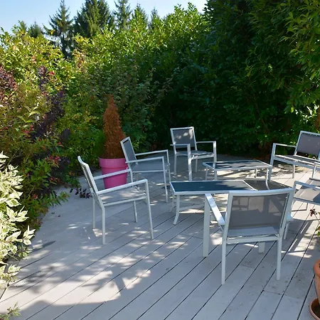 Logis Maison Carrée Restaurant O Carré Dart Hotel