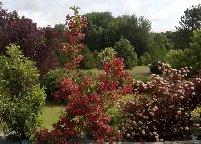 Logis Maison Carree Restaurant O Carre Dart 3* Méréville